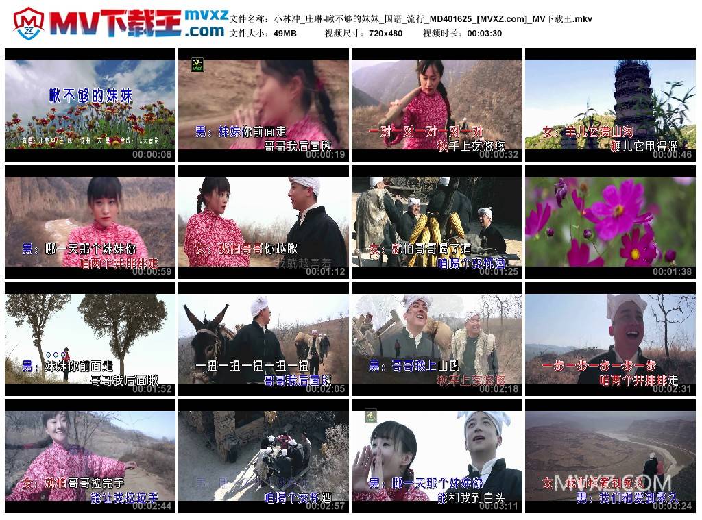 小林冲_庄琳-瞅不够的妹妹_国语_流行_MD401625